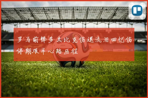 罗马前锋多夫比克伤退流泪回忆伤停期艰辛心路历程